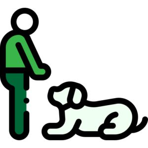 dog training 9