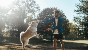 Best Dog Trainers Charlotte NC