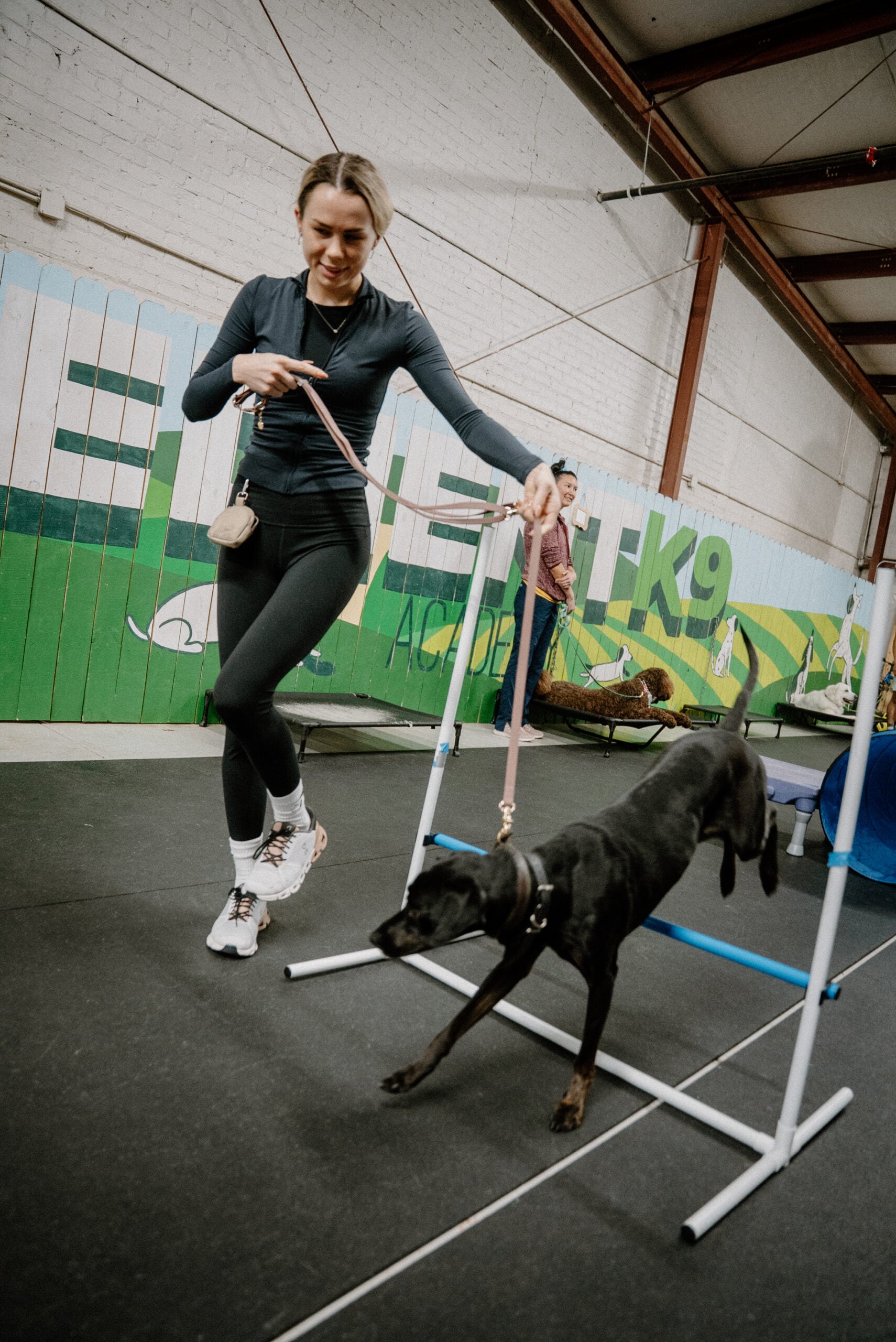 Obedient K9 client guiding her black dog over an agility jump during a Club class