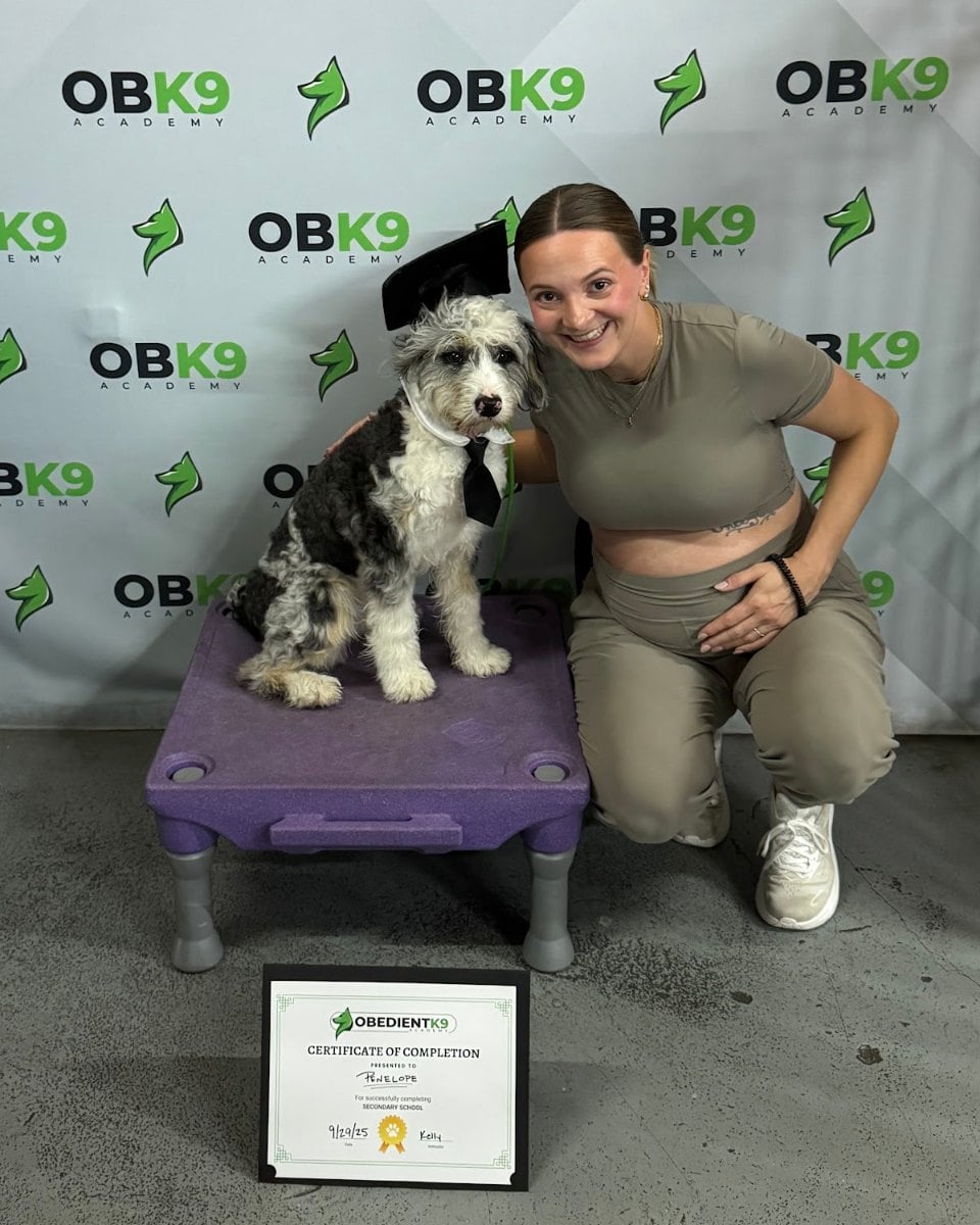 Bernedoodle graduate with her owner at Obedient K9 Academy