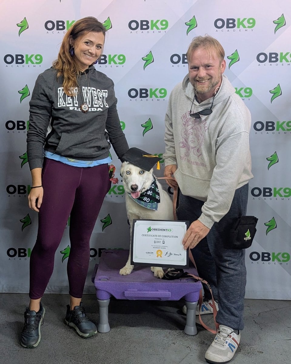 Shepherd Husky mix graduate with her owners and certificate